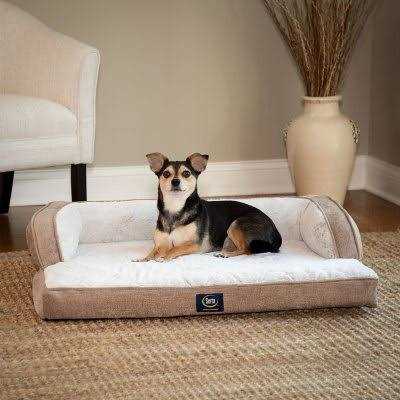 Serta XL Luxury Sleeper Sofa Pet Bed - Healthber