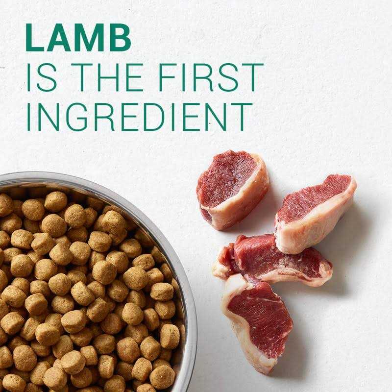 NUTRO Adult Dog Food Lamb & Rice - Healthber