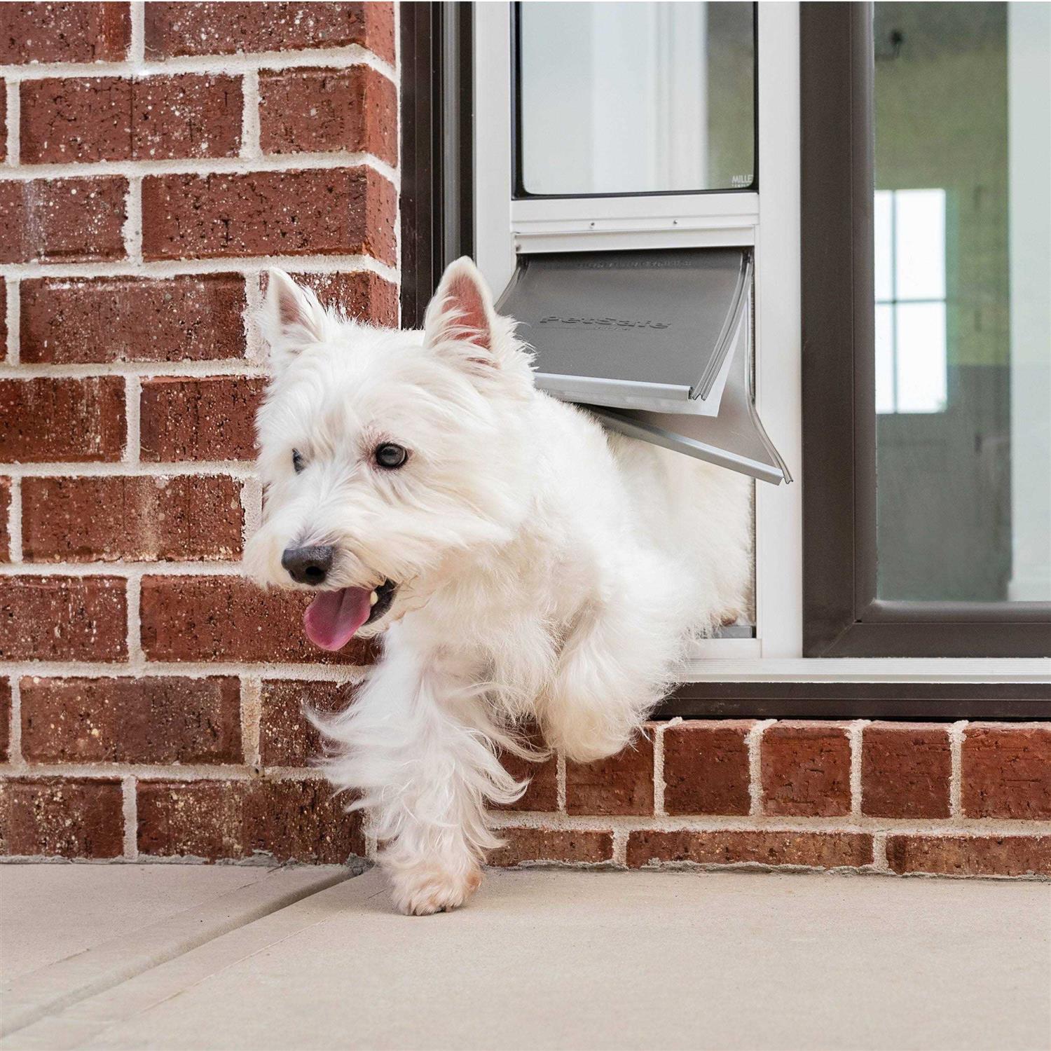 PetSafe Extreme Weather Sliding Glass Pet Door - Healthber