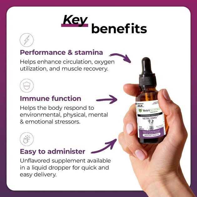 Vetri-DMG Liquid - Healthber