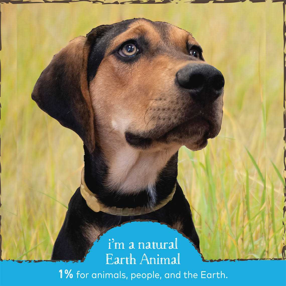 Earth Animal Herbal Flea Tick Collar for Dogs - Healthber