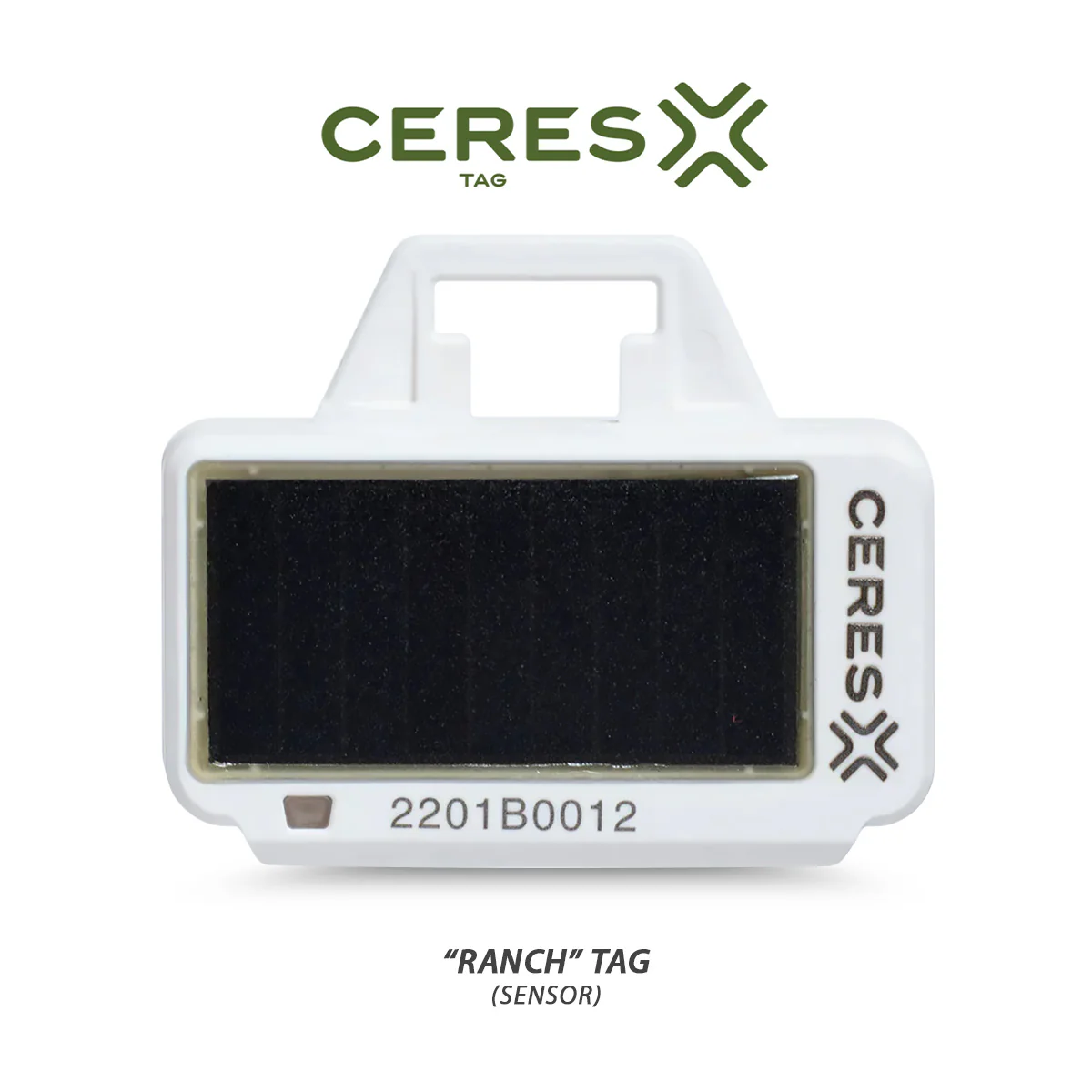 CERES RANCH PFI Identification Tags - Healthber