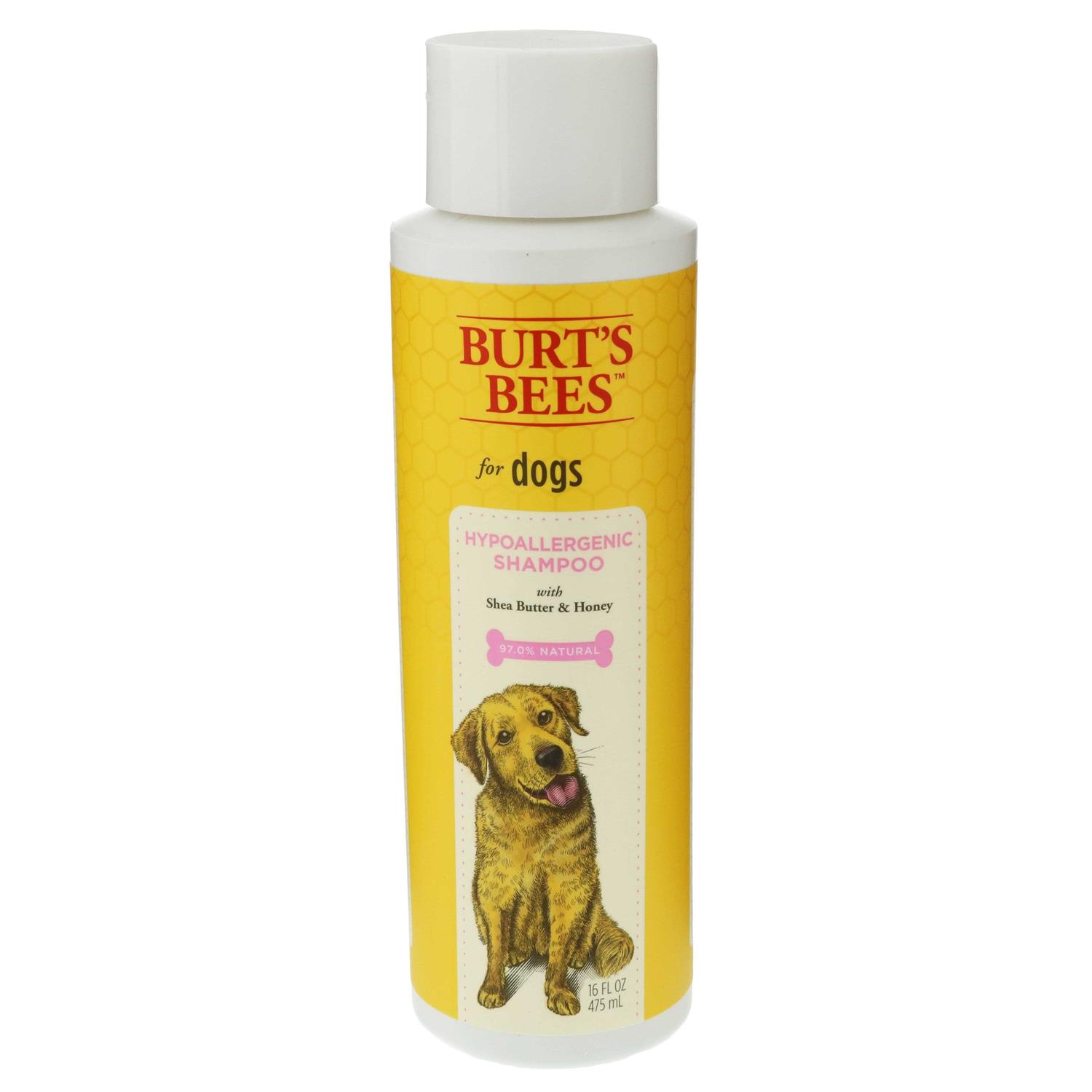 Burt’s Bees Shampoo - Healthber