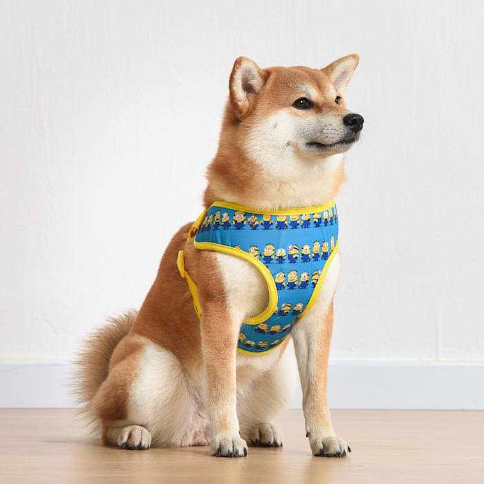 Minions Dog Harness Blue Minions in a Row Comfortable Mesh No-Pull Dog Harness - Healthber