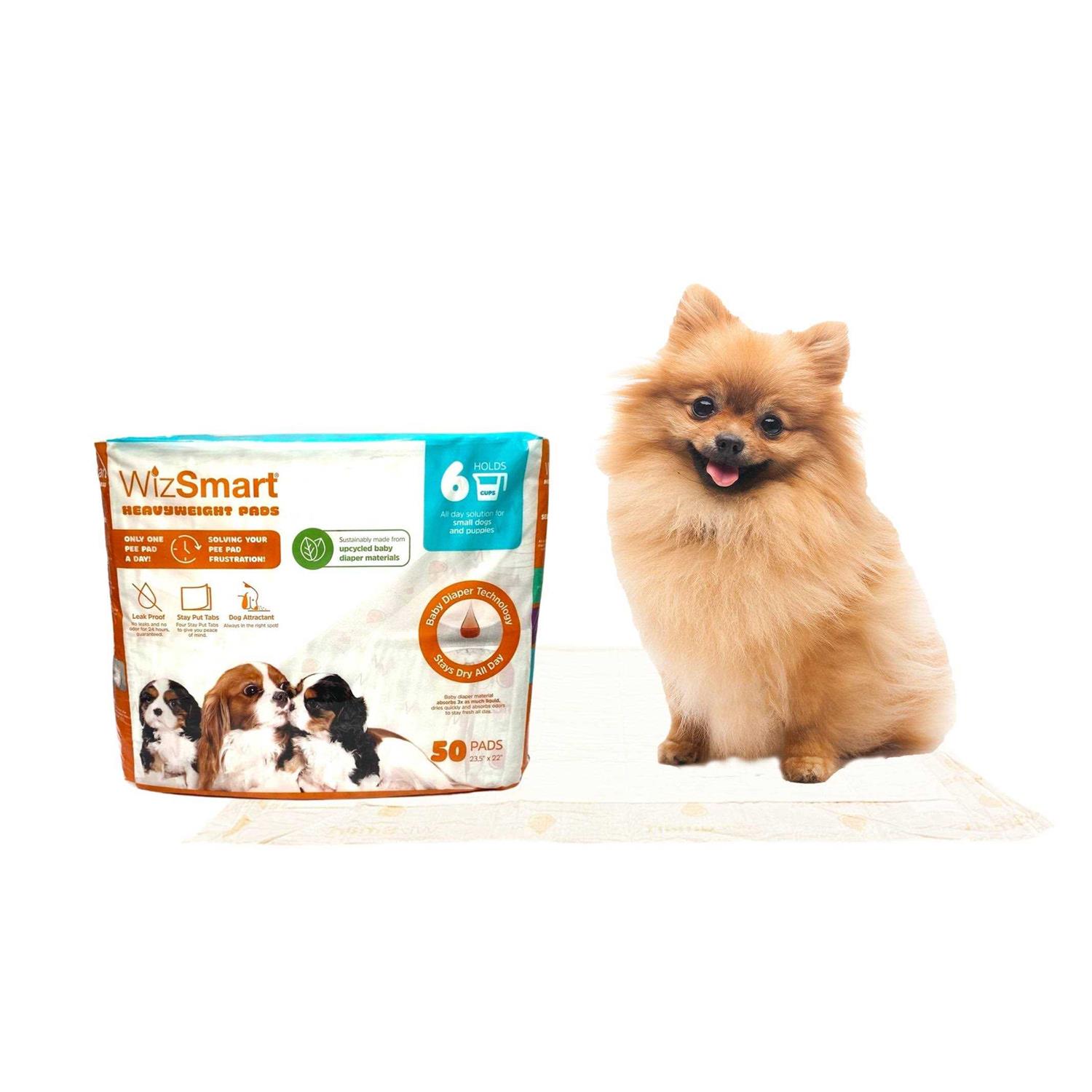WizSmart All Day Dry Dog Pads - Healthber