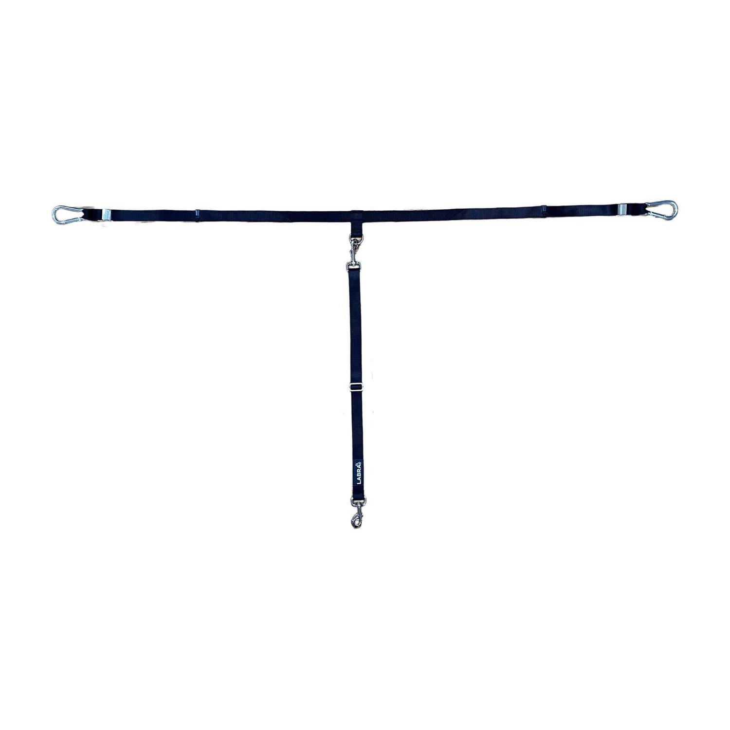 Labra Dog Truck Bed Leash Tether - Healthber