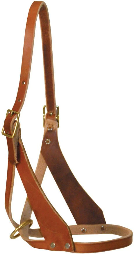 Riveted Figure 8 Foal Breakaway Halter - Healthber