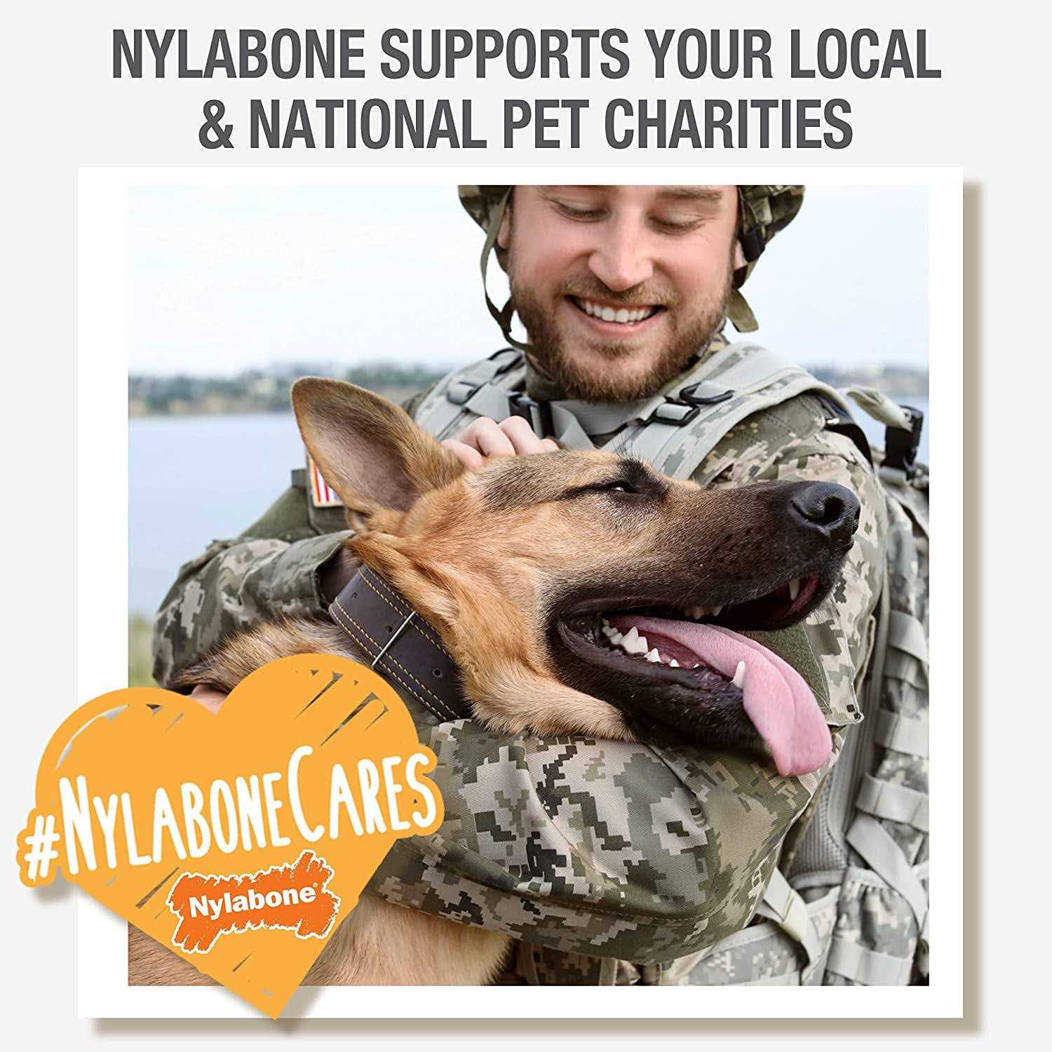 Nylabone Flexi Chew Triple Pack - Healthber