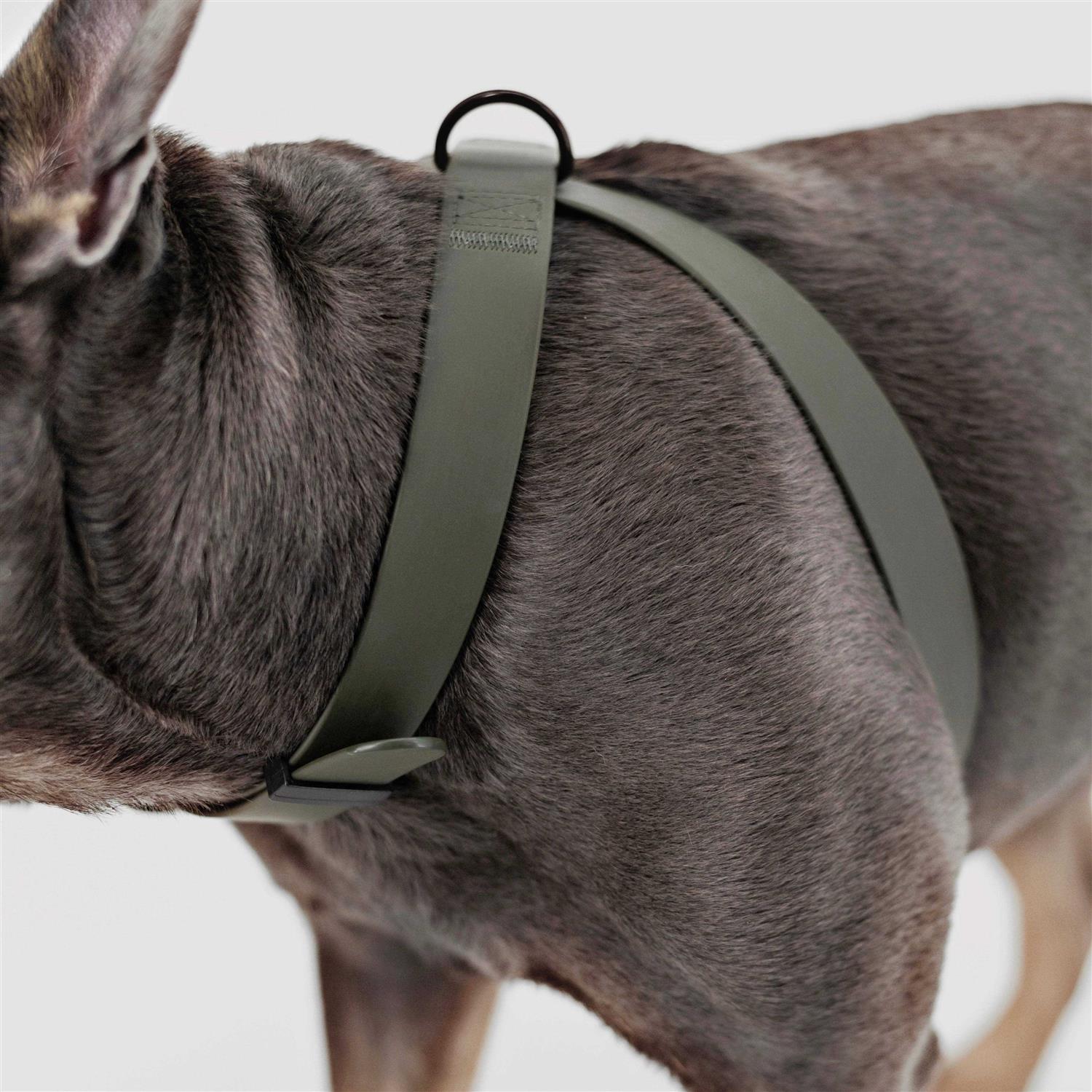 Lambwolf OTTO Dog Harness Dog Leash - Healthber