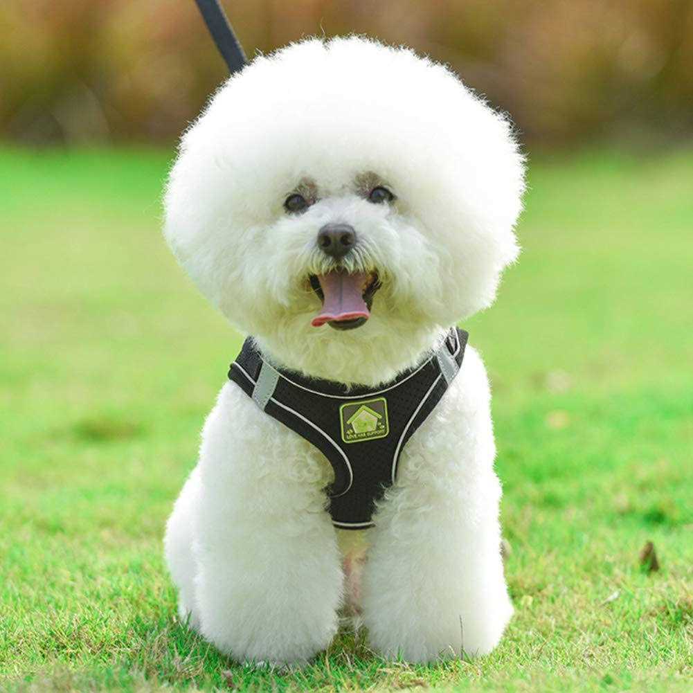 Feimax Dog Harness and Leash Set No-Pull Soft Mesh Vest Reflective Adjustable Pet Harnesses For Small - Healthber