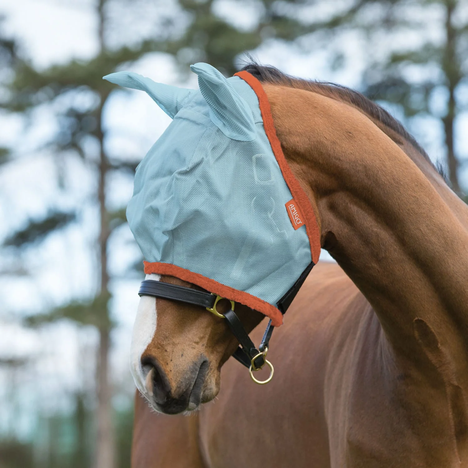 Amigo Horse Fly Mask with Ears, Aqua/Orange - Healthber