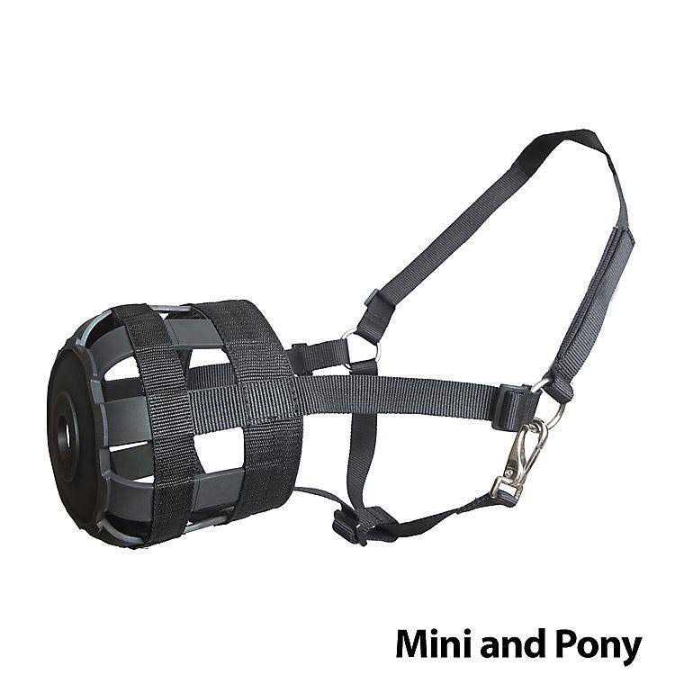 Economy Nylon Halter Grazing Muzzle - Healthber