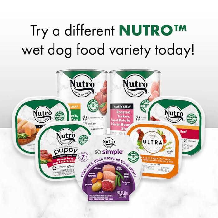 Nutro So Simple Meal Complement Wet Dog Food Chicken & Duck Recipe in Bone Broth - Healthber