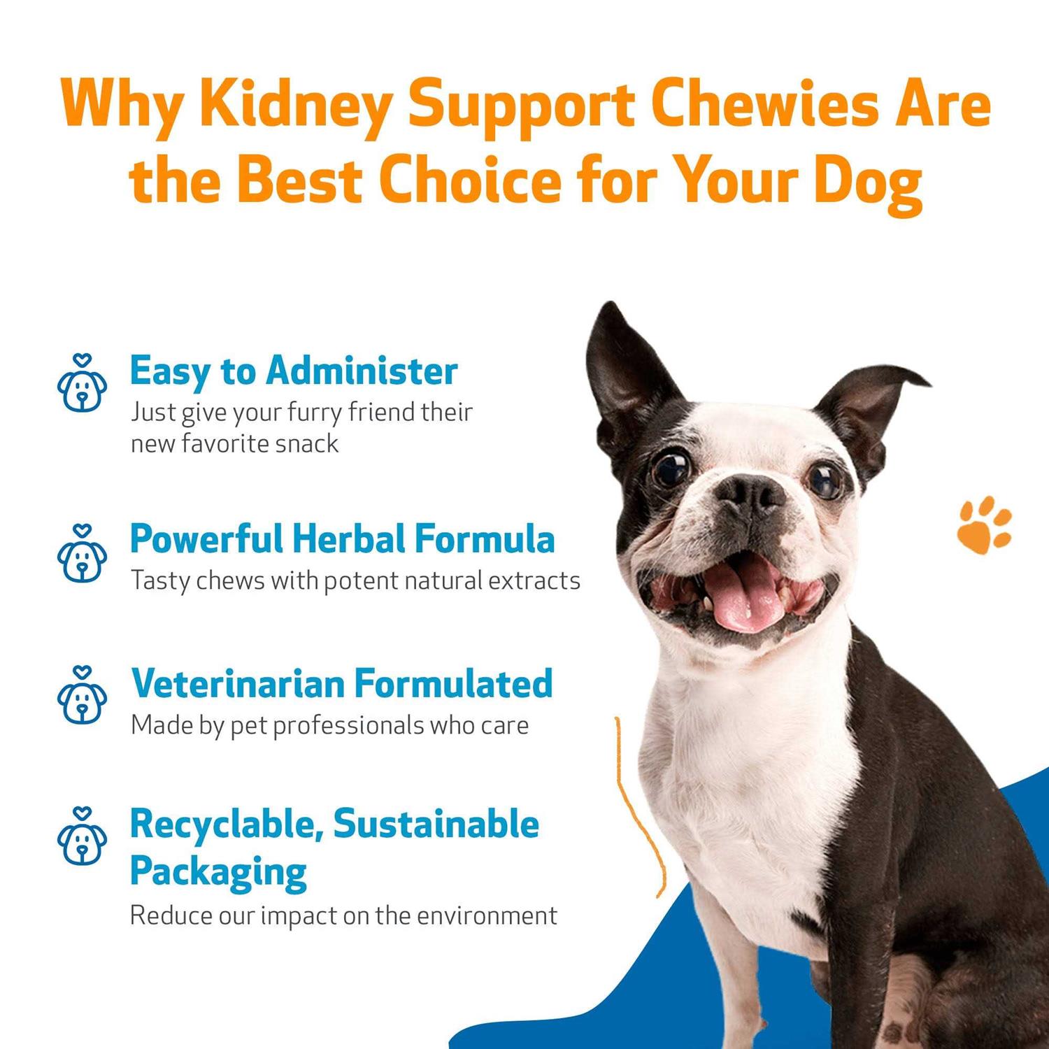 Kidney Support Chewies for Dogs by Pet Wellbeing - Healthber