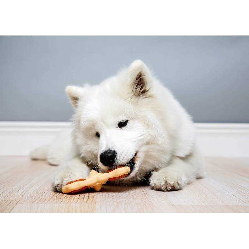 Hartz Chew n Clean Tri-Point Chew Toy - Healthber