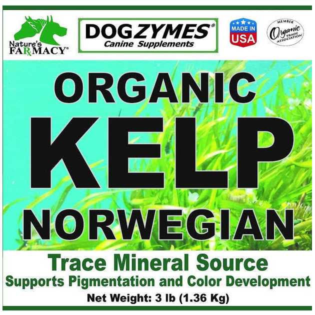 Dogzymes Organic Norwegian Kelp with Organic Garlic - Healthber