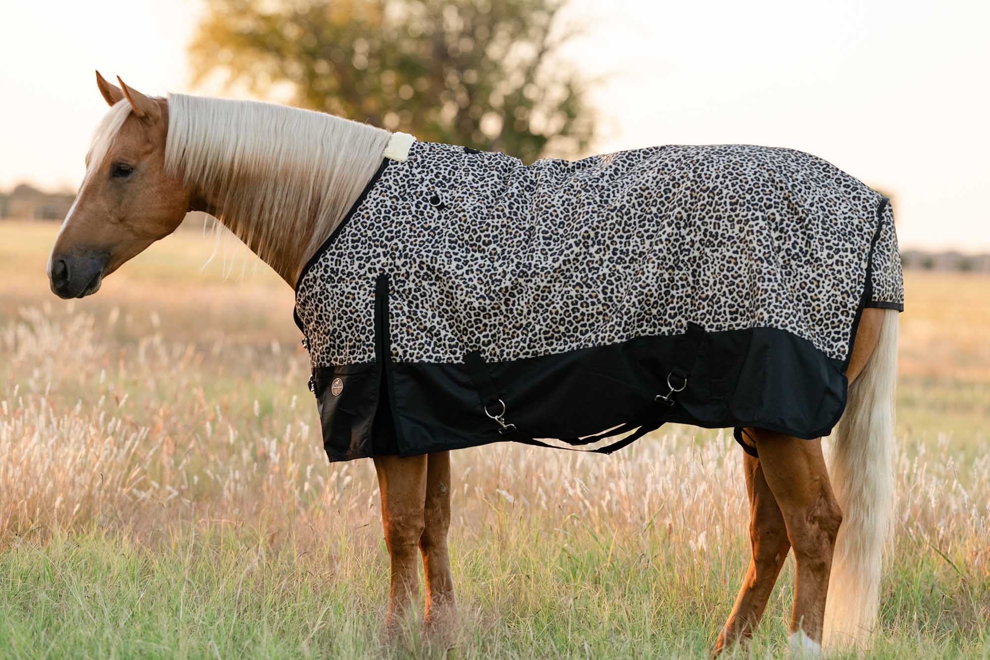 Equisential 600D Standard Neck Medium Weight Blanket, Cheetah - Healthber