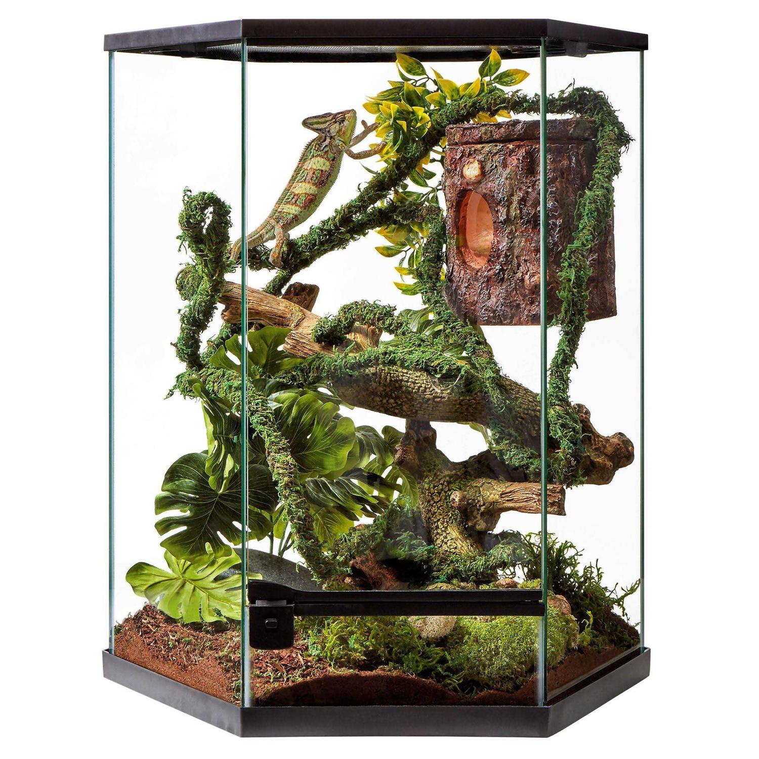 Thrive Tropical Reptile Vertical Hexagon Terrarium -20 Gallon - Healthber