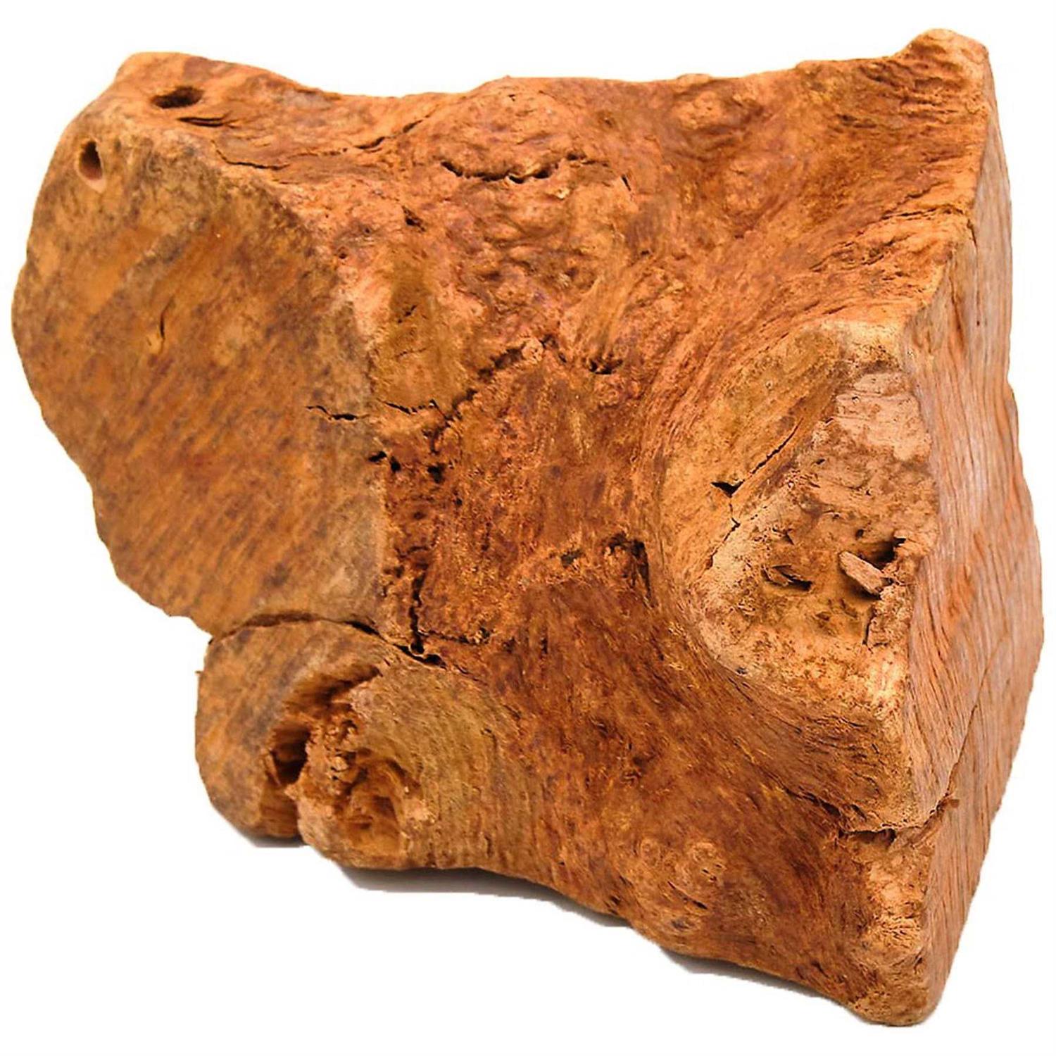 Little Loyals Premium Heather Tree Wood Dog Chew - Healthber