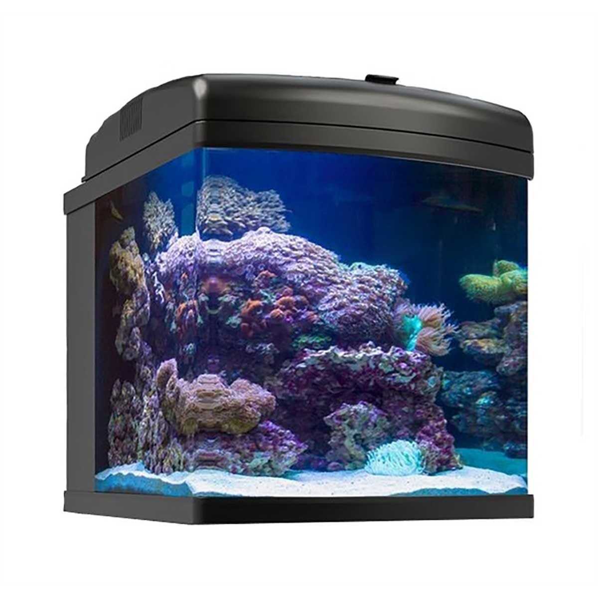 JBJ 28g Nano Cube LED 40W AIO - Healthber