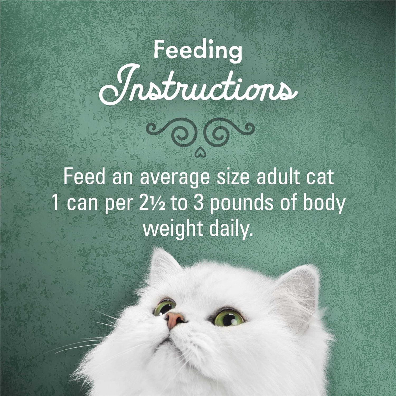 Fancy Feast Medleys Beef Ragu Recipe with Tomatoes and Pasta in a Savory Sauce Wet Cat Food - Healthber