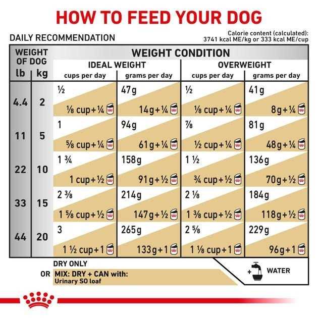 Royal Canin Veterinary Diet Canine Urinary SO Dry Dog Food - Healthber