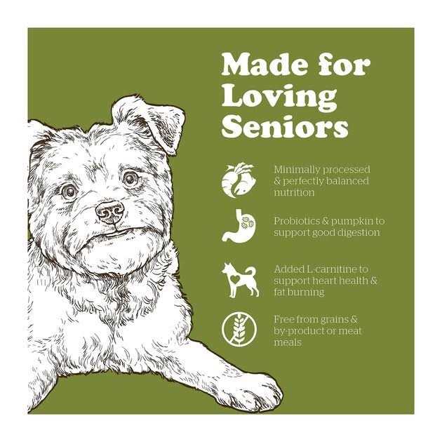 Now Fresh Grain-Free Senior Dry Dog Food - Healthber
