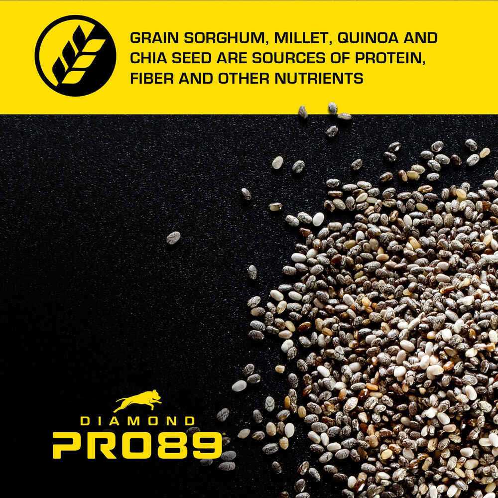 Diamond Pro89 Beef Pork & Ancient Grains Formula Adult Dog Food - Healthber