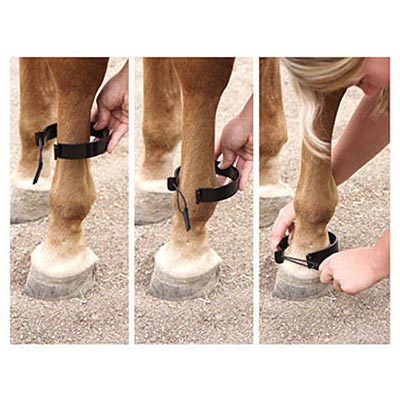 Paw-B-Gone Horse Ankle Bands, Pair - Healthber
