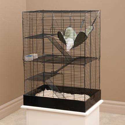 You & Me Rat Manor Habitat 16.5 L X 22.5 W X 32 H - Healthber