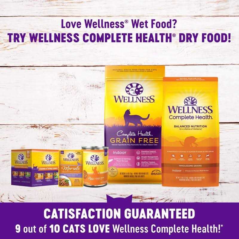 Wellness Complete Health Chicken & Turkey Lovers Variety Pack Wet Adult Cat Food - Healthber