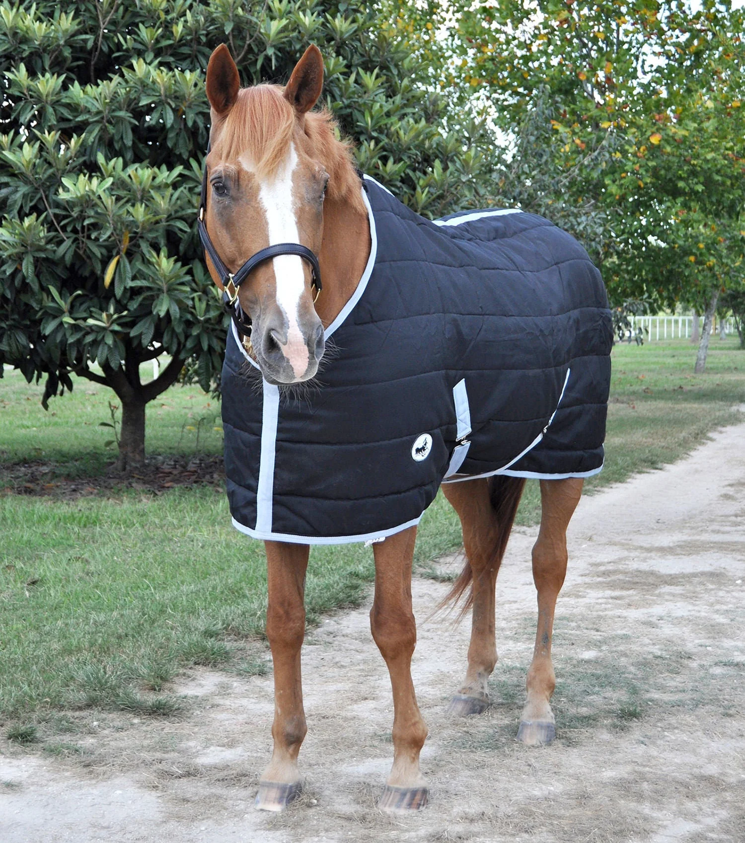 Closed Front 240g Fill Stable Blanket for Horses - Healthber