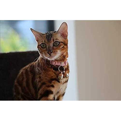 Beau’s Bells 2 Extra Loud Cat & Dog Bells - Healthber