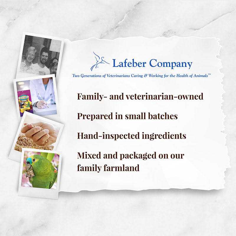 Lafeber Senior Bird Nutri Berries Parrot Food - Healthber