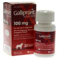 Galliprant mg for Dogs - Healthber