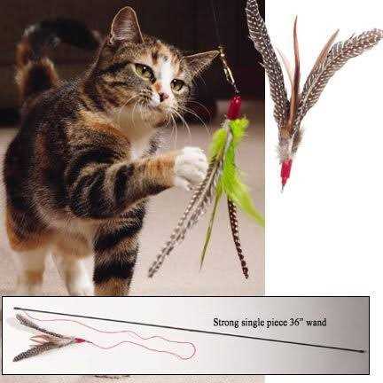 Go Cat Da Bird Cat Toy - Healthber