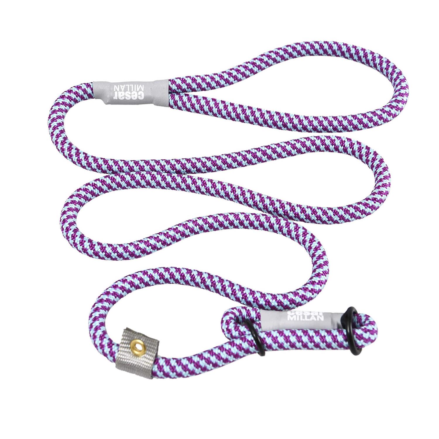 Cesar Millan Slip Lead Leash 2-in-1 Slip Collar Dog Training Lead & Collar - Healthber