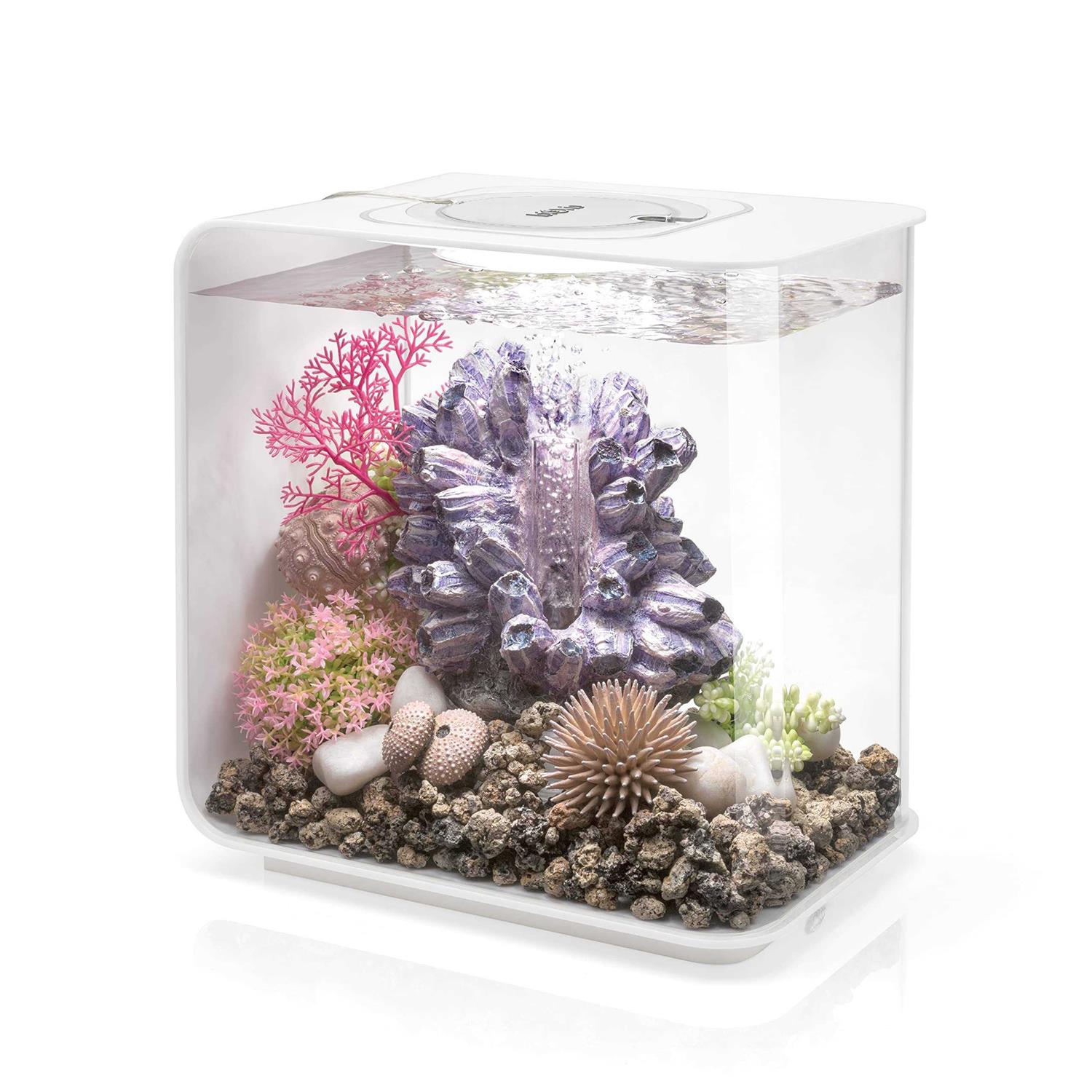 biOrb FLOW - Healthber