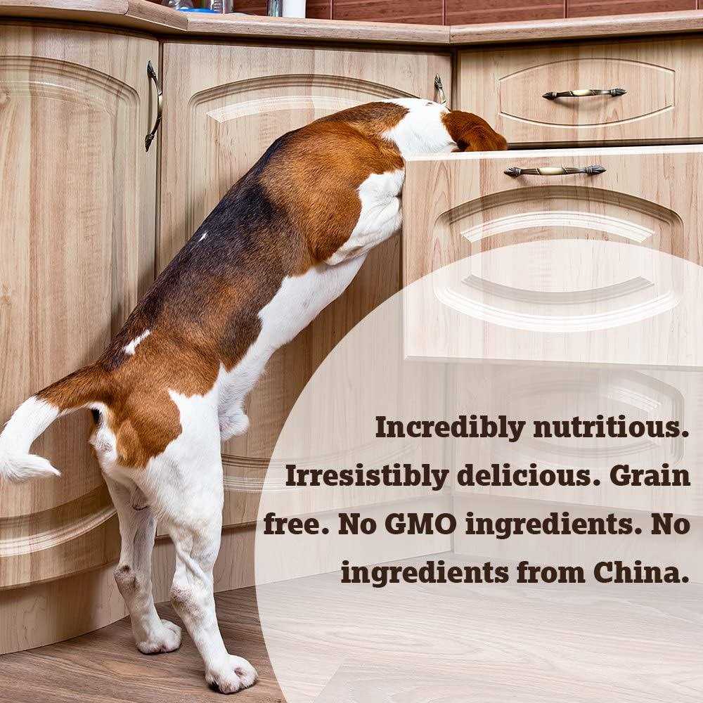 Caru Soft ‘n Tasty Baked Bites Recipe Dog Treats - Healthber