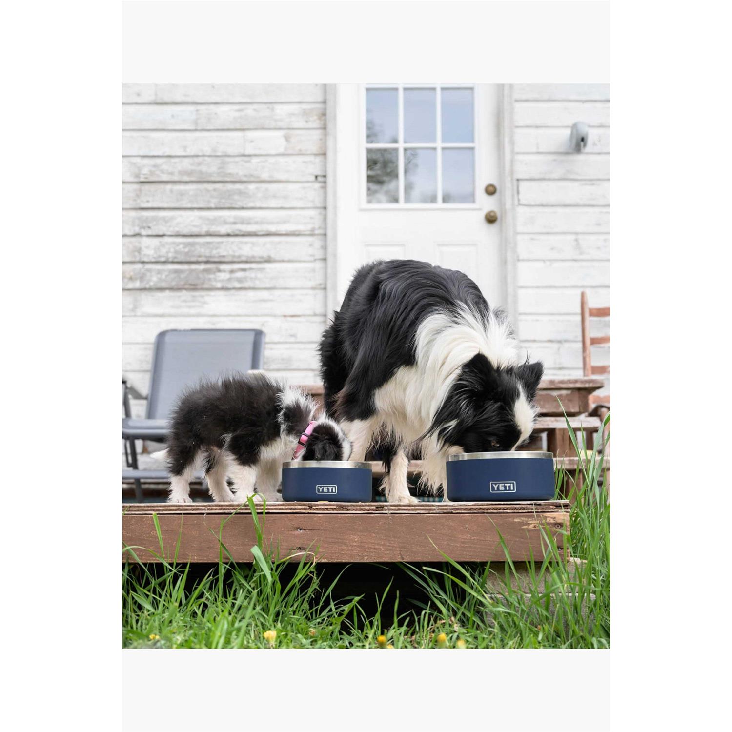 Boomer Dog Bowl Yeti - Healthber