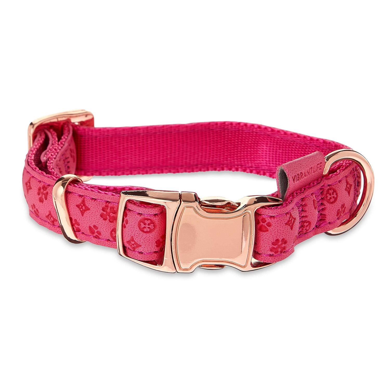 Vibrant Life Embossed Adjustable Dog Collar - Healthber