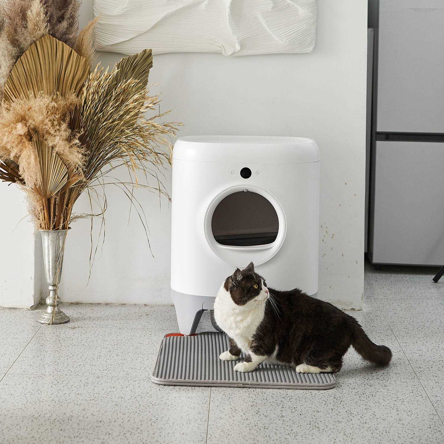 Petkit PuraX Self-Cleaning Wifi Enabled Automatic Cat Litter Box for Multiple Cats with Litter Mat - Healthber