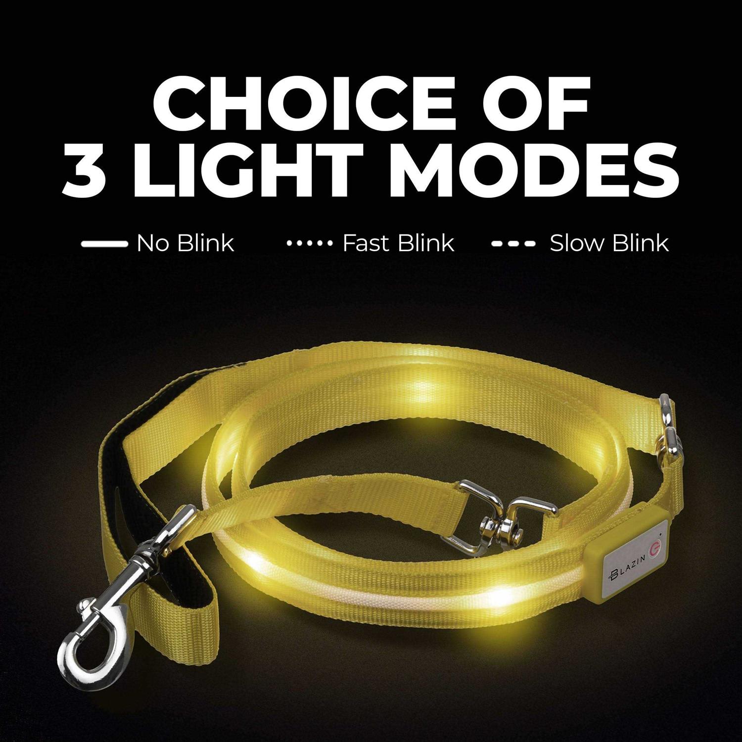 Blazin Safety LED Dog Leash USB Rechargeable Flashing Light - Healthber