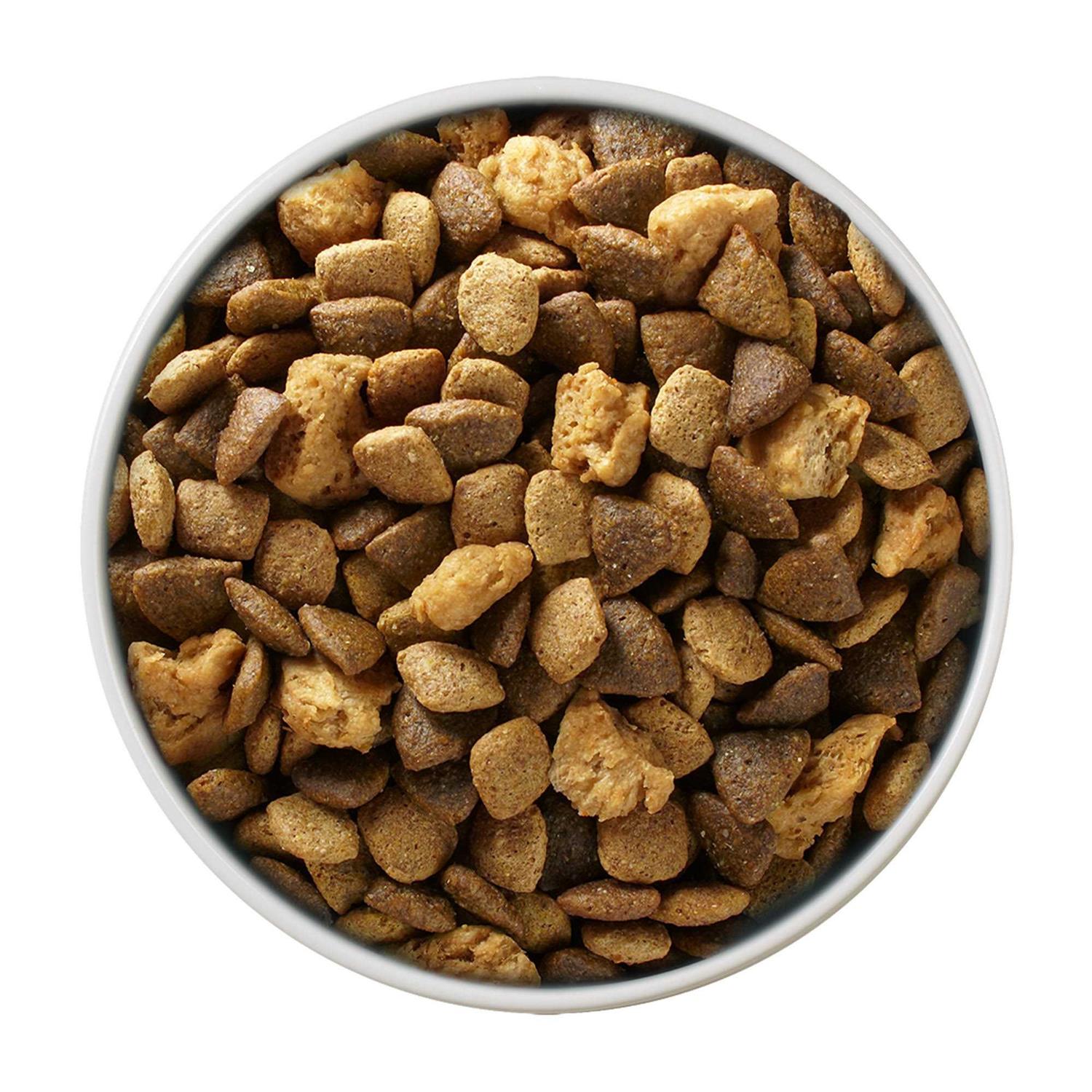 Purina ONE Large Breed Dry Puppy Food - Healthber