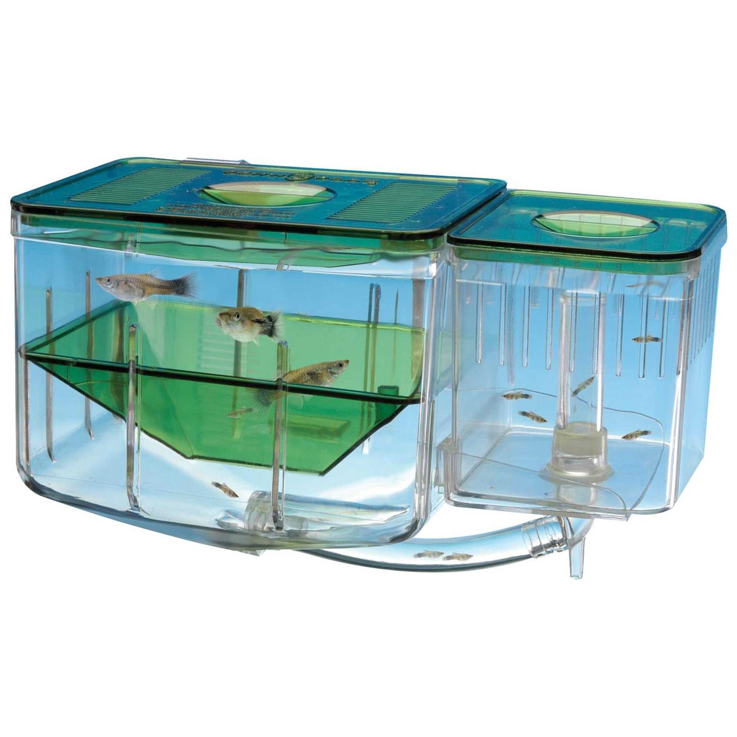 Penn Plax Aqua-Nursery - Healthber