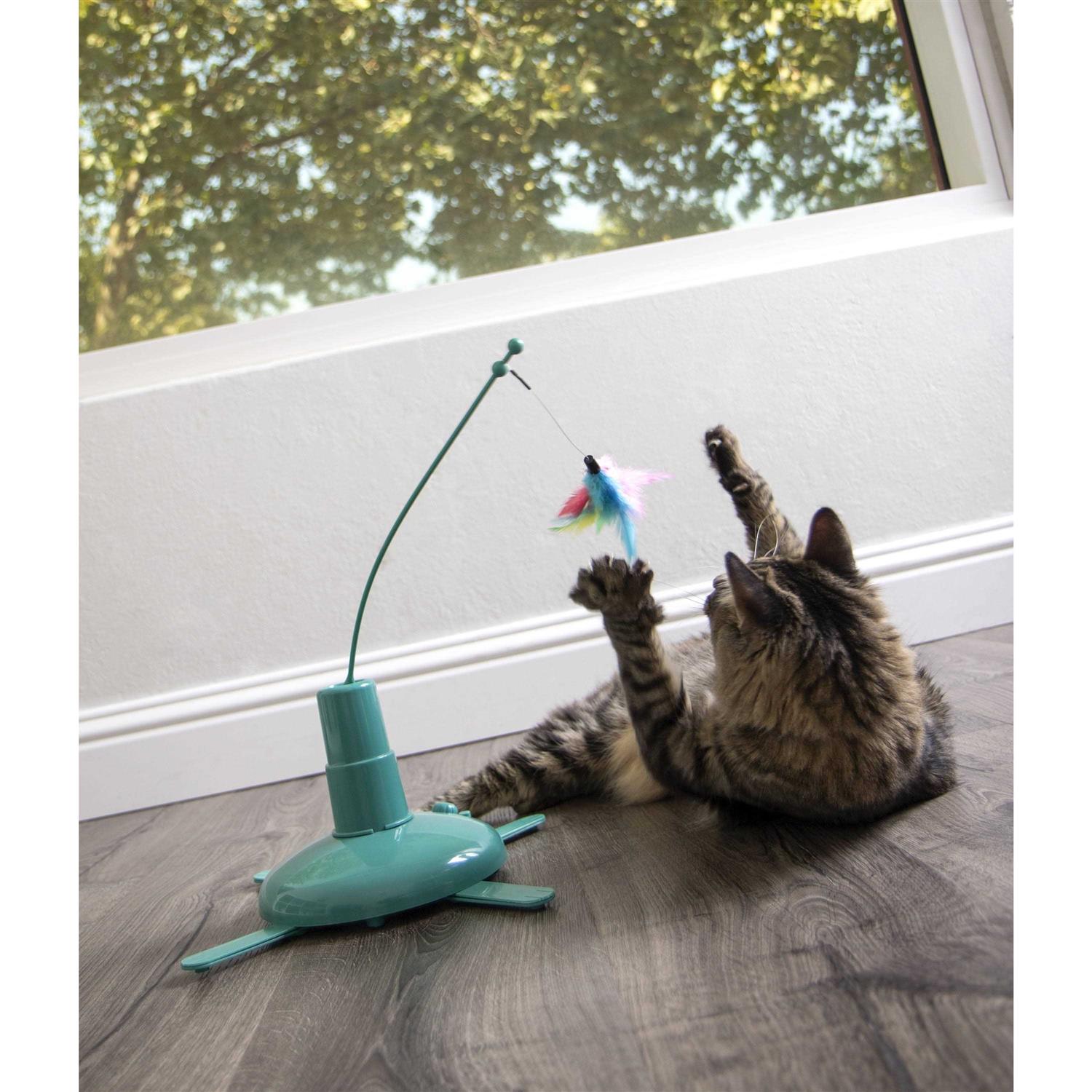 SmartyKat Activity Toy - Healthber