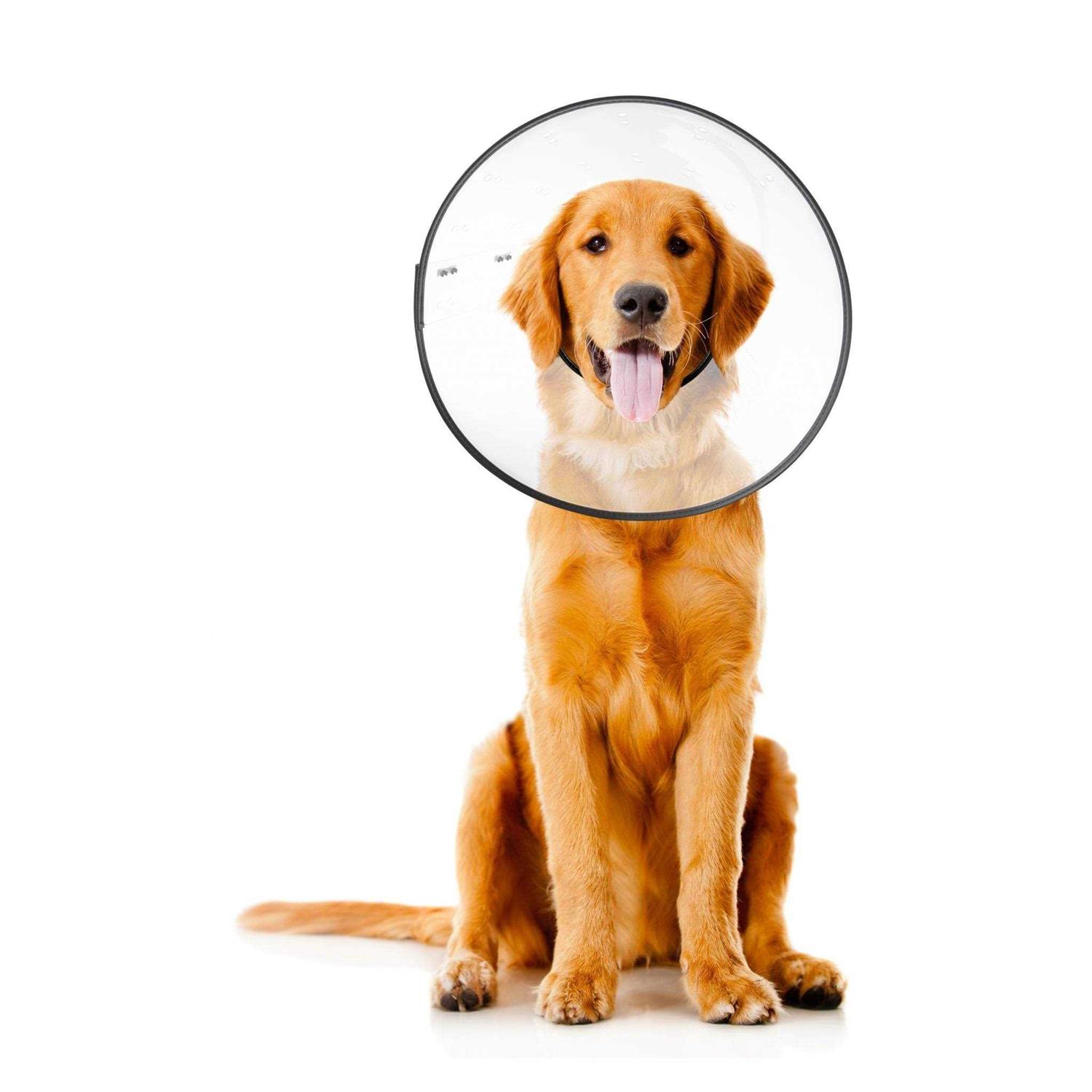 ZenPet E Clear Recovery Collar - Healthber