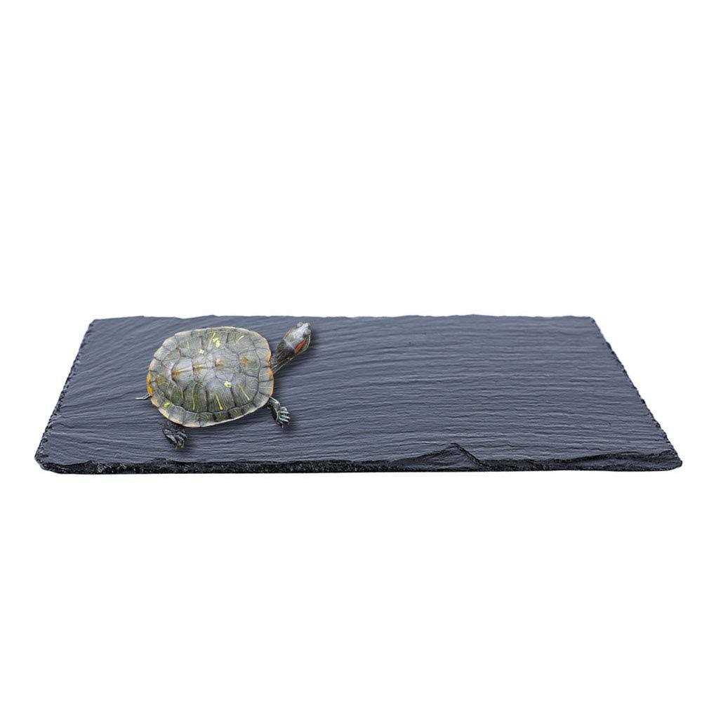 ACKEIVTO Small Slate Reptile Basking Platform Tortoise Feeding Dish Natural Rock Reptile Food Bowl Landscape Habitat Decor for Turtle Lizard Bearded - Healthber