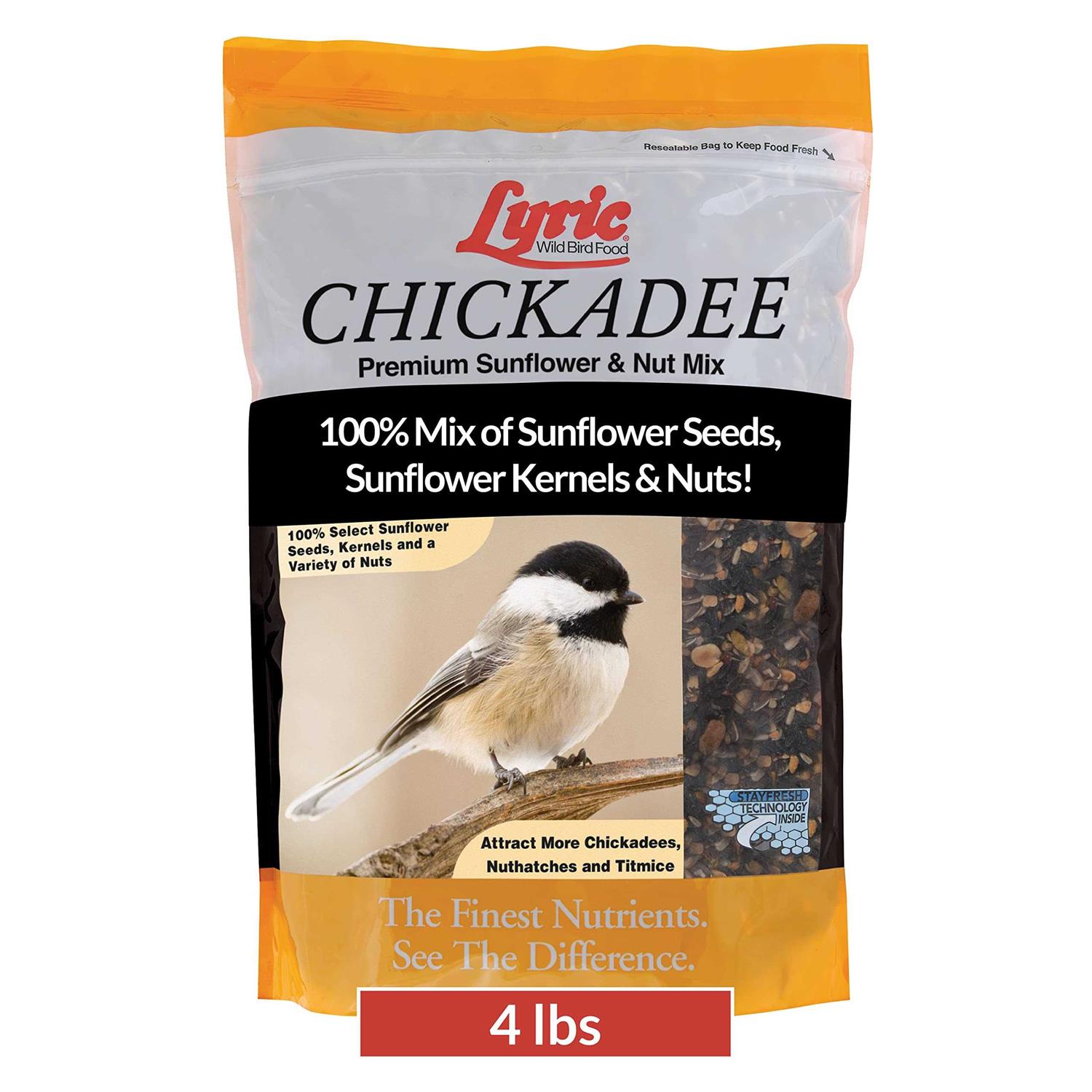 Lyric Chickadee Wild Bird - Healthber