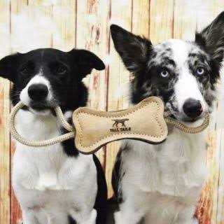 Tall Tails Natural Leather Ring Dog Toy - Healthber